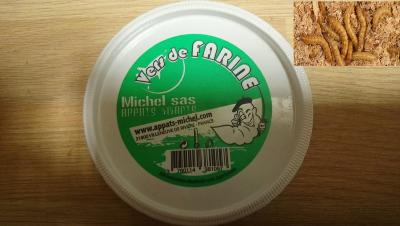 BOITES DE VERS DE FARINE MICHEL SAS 