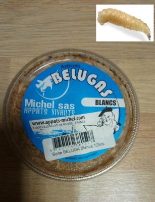 BOITE D'ASTICOTS BELUGAS MICHEL SAS 125