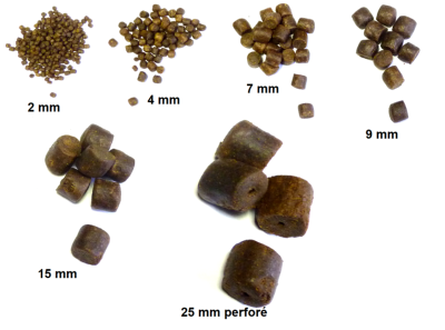 PELLET FISCH CARPE 4 MM