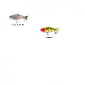 POISSON NAGEUR JMS 180 JOINTED CHARTER CATFISH 