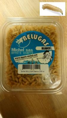 BOITE D'ASTICOTS BELUGAS MICHEL SAS 250